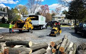 Best Storm Damage Tree Cleanup  in Obion, TN