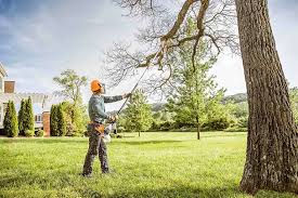 Best Tree Trimming and Pruning  in Obion, TN