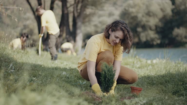 Best Lawn Watering Services  in Obion, TN